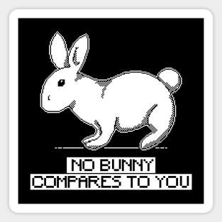 1 bit no bunny compares to you Magnet